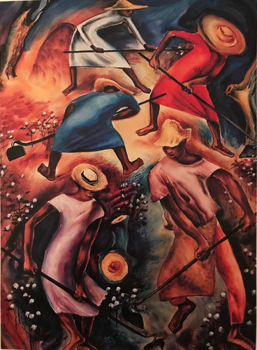 Poor  men’s  Cotton,