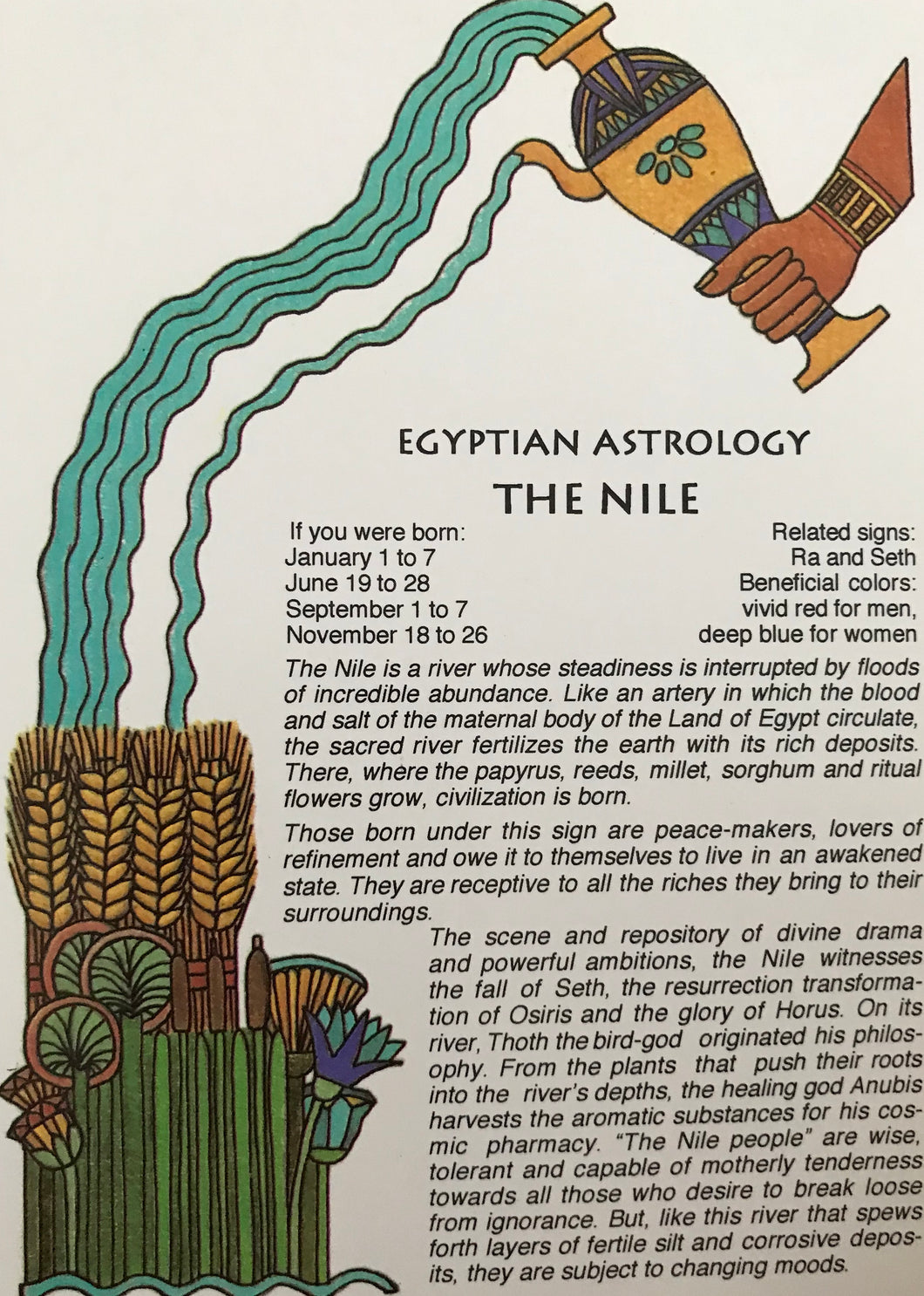 THE NILE Astrology  Egyptian Postcard