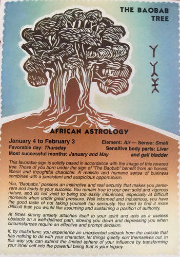 The BAOBAB TREE    African astrology Post Card