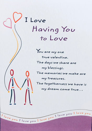 I Love Having You to Love