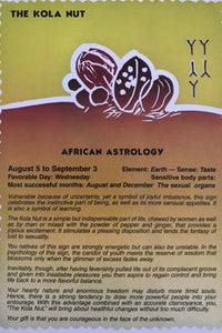 The KOA NUT,      African astrology Post Card