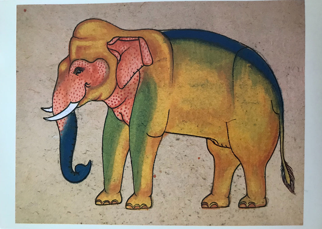 Multicolored  Elephant