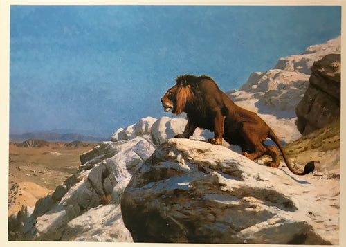 Lion on the Watch