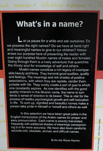 The Book of Muslim Names by Maceo Hazziez